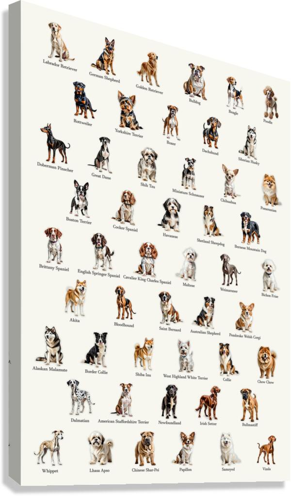 50 Dog Breeds Canvas Print