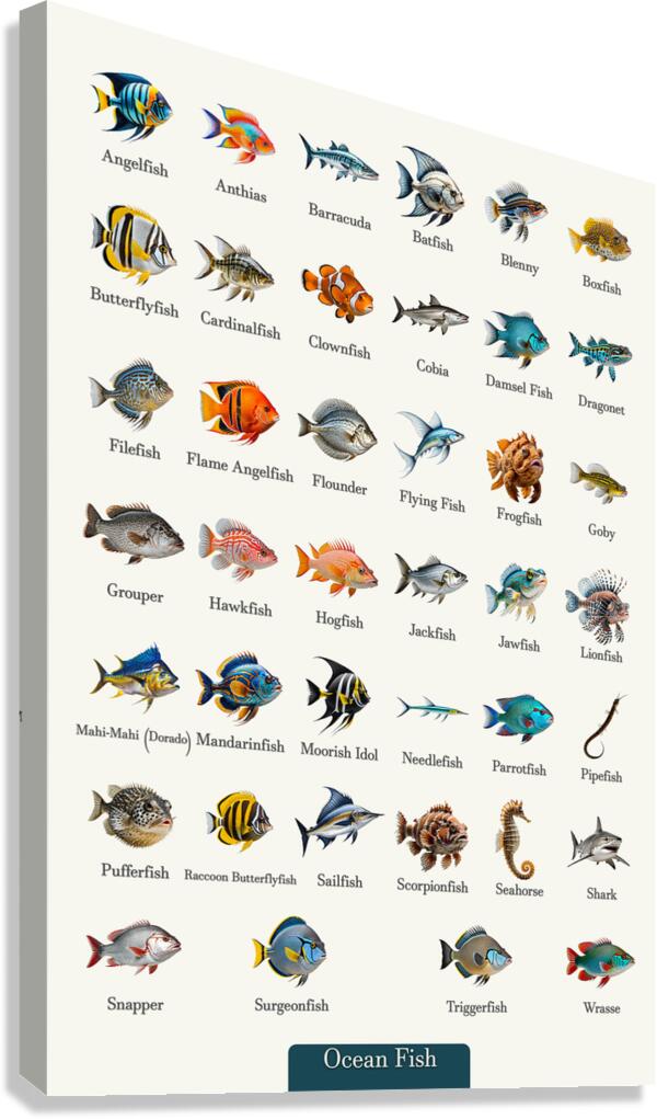 40 Ocean Fish Canvas Print