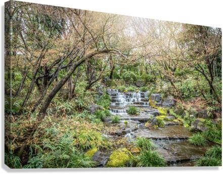 A small waterfall Canvas Print