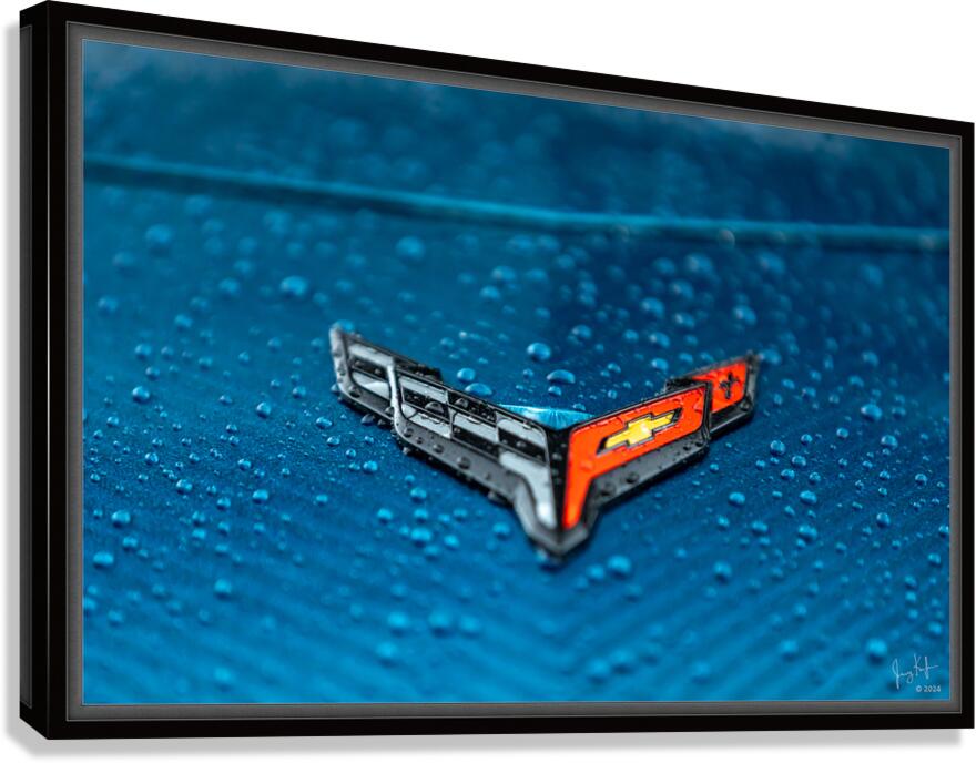 Rain & Chrome Canvas Print