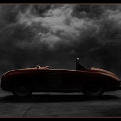 Weathering the Storm