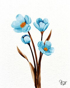 Tranquil Blossoms by Veronica Stegall