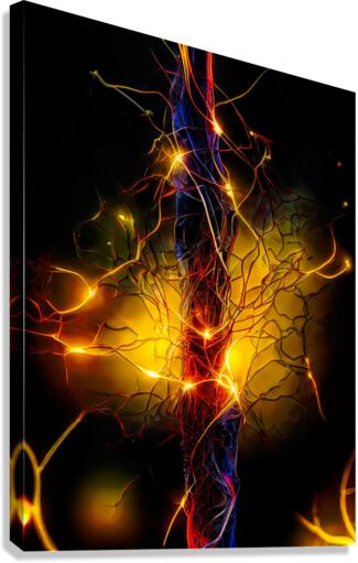 Synaptic Activity Canvas Print