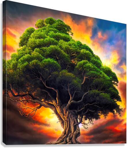 Powerful Tree at Sunset Canvas Print