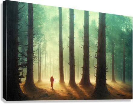 [Forest Walk] Canvas Print