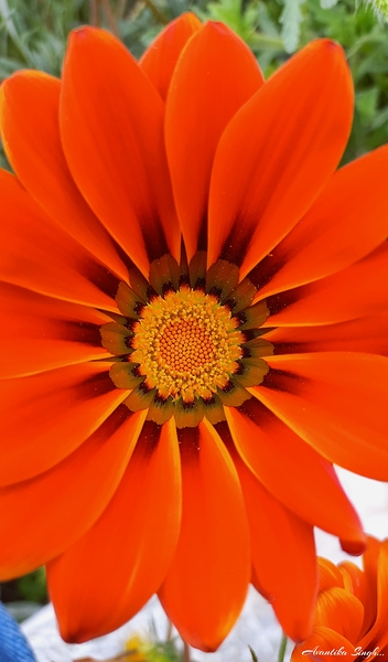 GridArt 20250122 104743048 Print