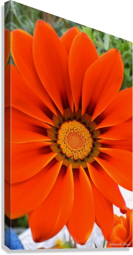 GridArt 20250122 104743048 Canvas Print