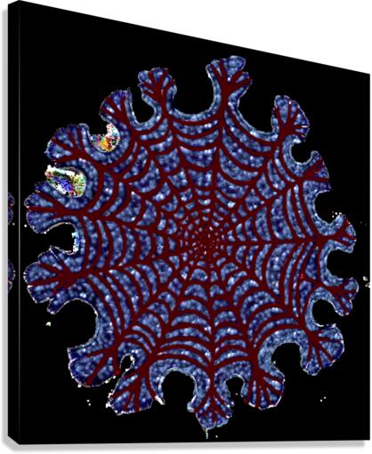 cob-web Canvas Print