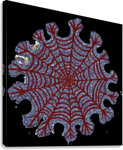 cob-web Canvas Print