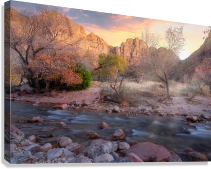 DSC 3661 Canvas Print