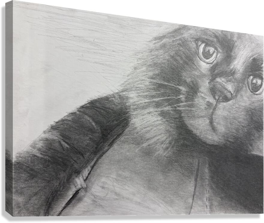 Sukinator Canvas Print