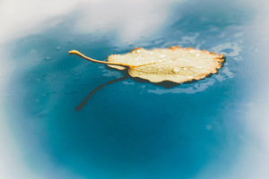 02884868 77B6 479D 93FE 0E964BADE60F