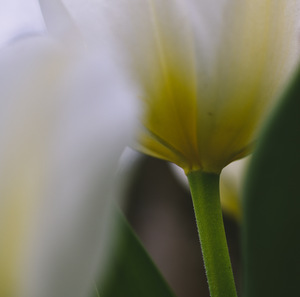 03422832 BC98 4D9A 8B63 8BAA910993FF