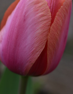 1DE20221 5841 483A 8569 F07B2067D813