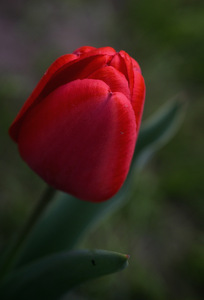 2012104A 0E32 49A2 8EFB E77CFD76E23B