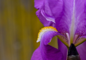 335F7FB0 E632 491B 84B2 3472B1EB2742