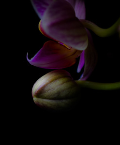 809BE8F4 232F 4897 864E AB88A3081A75