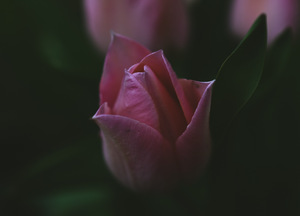 AF90AC9C 156E 4D67 8242 FAB6BD37AAA9