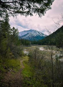 BABB8256 9C44 44F8 99C9 11D0DE30EE8D