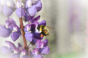 C7C17AC9 0B65 429C 8DB7 C6CEF130F4DC