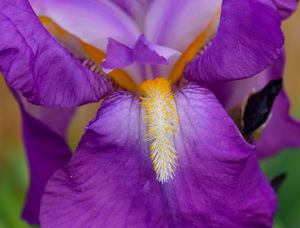 D3DFC927 BEA9 42E7 8C91 3C109C815F13