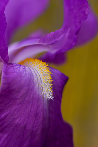 D8E3D028 AF66 4E32 93B6 BB2247423D53