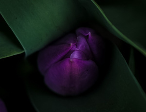 E54902A0 D551 4DE8 892D 0819F3726D5A