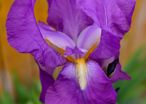 F58C6F71 6A08 41B3 8B15 68087173F469