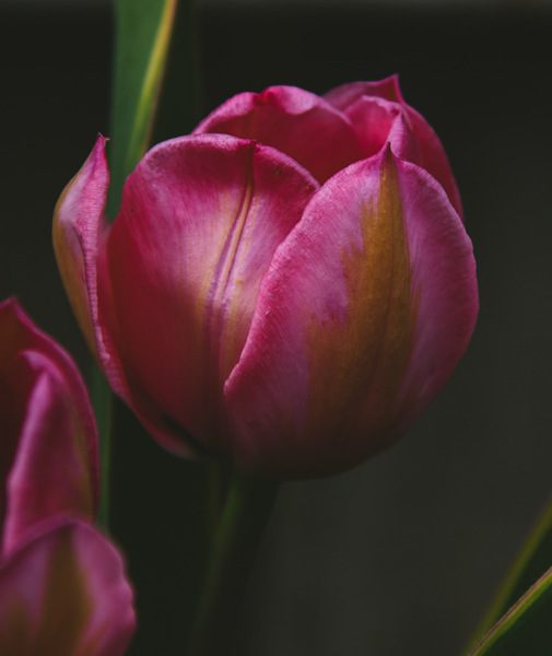 465D0B73 E859 4EFB A8C1 F135AA14F216 Print