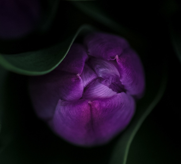 C6BA5956 485C 428F 9B48 A938EE047FD1 Print