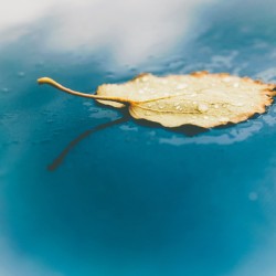 02884868 77B6 479D 93FE 0E964BADE60F