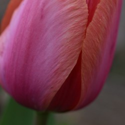 1DE20221 5841 483A 8569 F07B2067D813