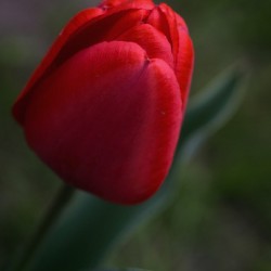 2012104A 0E32 49A2 8EFB E77CFD76E23B