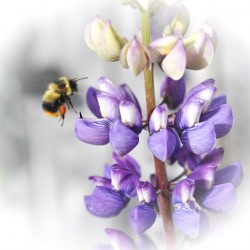 3080094D D185 4223 8EE0 02AA8A0665A2