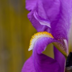 335F7FB0 E632 491B 84B2 3472B1EB2742