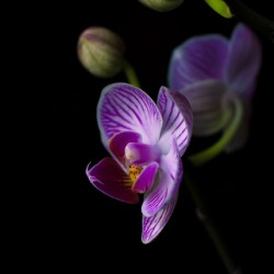 6A02853C 7714 4028 BE2A F75DC0C40BED