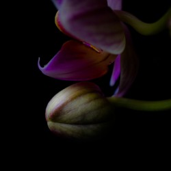 809BE8F4 232F 4897 864E AB88A3081A75