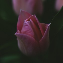 AF90AC9C 156E 4D67 8242 FAB6BD37AAA9