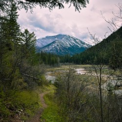 BABB8256 9C44 44F8 99C9 11D0DE30EE8D