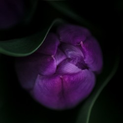 C6BA5956 485C 428F 9B48 A938EE047FD1