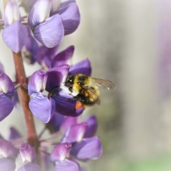 C7C17AC9 0B65 429C 8DB7 C6CEF130F4DC