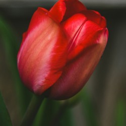 CC307FB5 2ECC 4696 800F 0155651ECD22