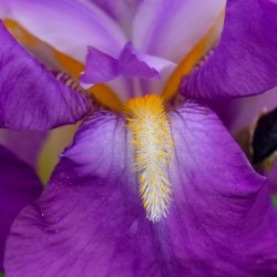 D3DFC927 BEA9 42E7 8C91 3C109C815F13