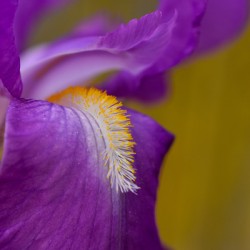 D8E3D028 AF66 4E32 93B6 BB2247423D53