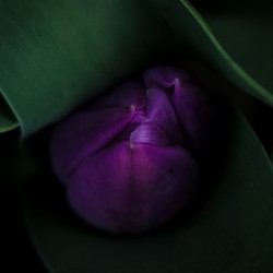 E54902A0 D551 4DE8 892D 0819F3726D5A