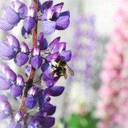 ED964EA7 670A 4B7A 9FD5 14459CFDC15B