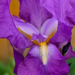 F58C6F71 6A08 41B3 8B15 68087173F469