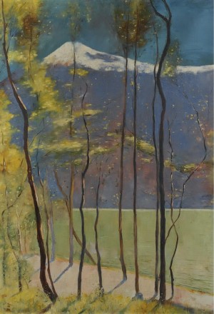 Spring on Lake Garda Print