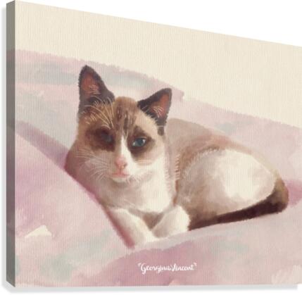 The lying Snowshoe Canvas Print