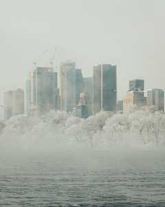 Montreal in the cold.